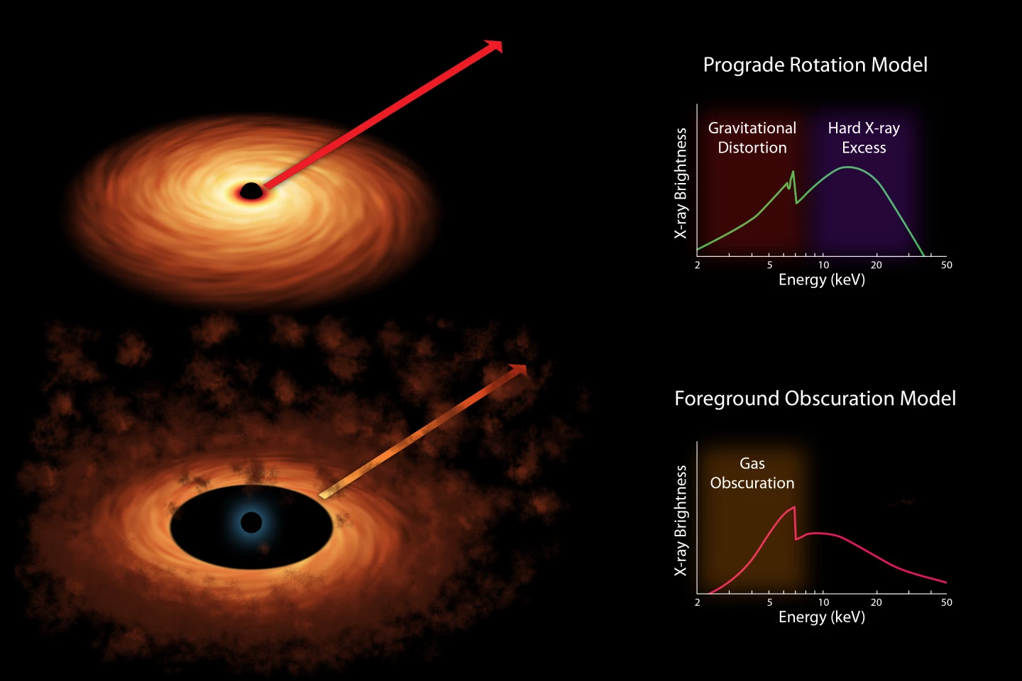 Illustration of two approaches to explain observed x-ray broadening near an SBH – relativistic effects, and obscuration (Photo: NASA/JPL)