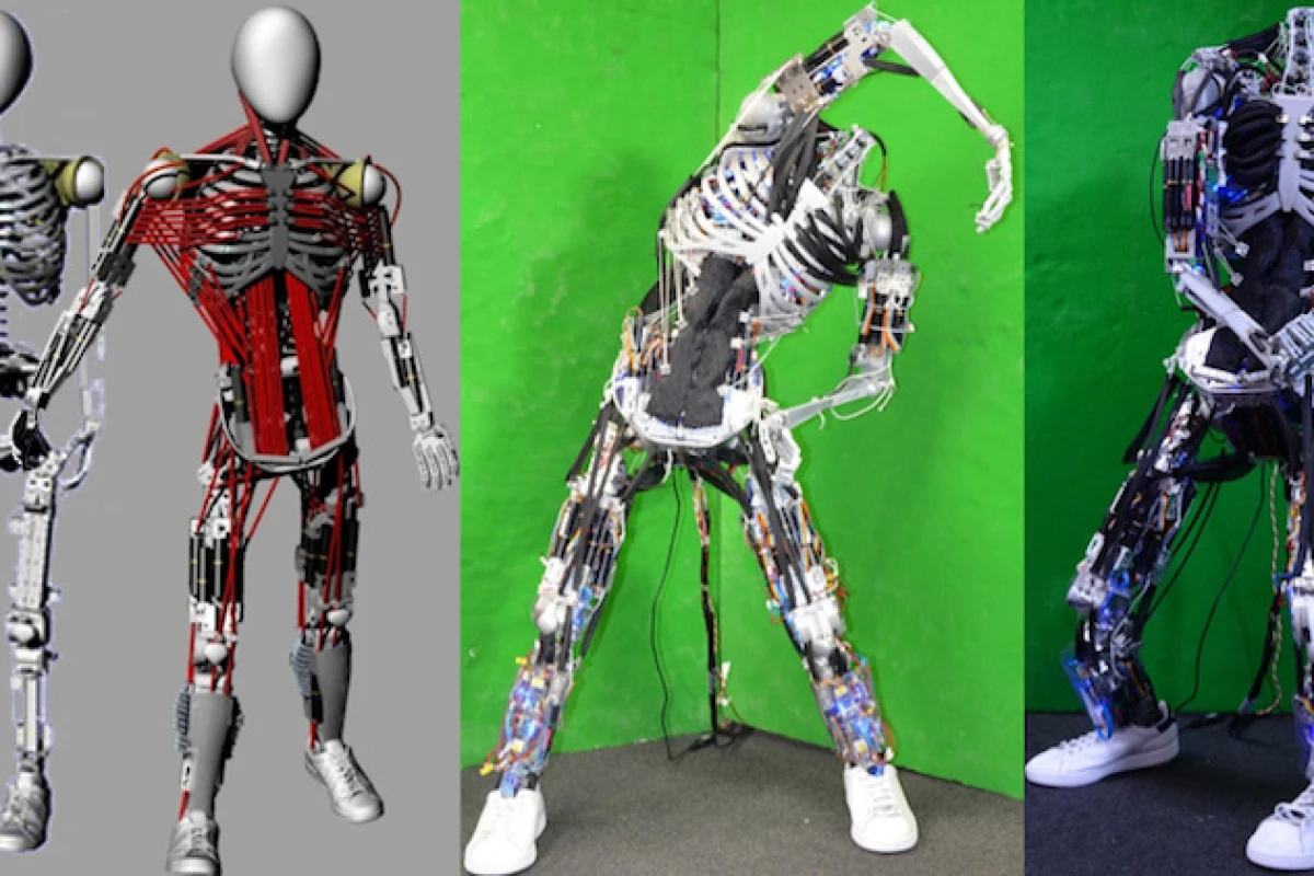 The University of Tokyo's JSK Lab have developed what could be considered the world's most anatomically correct robot, Kenshiro