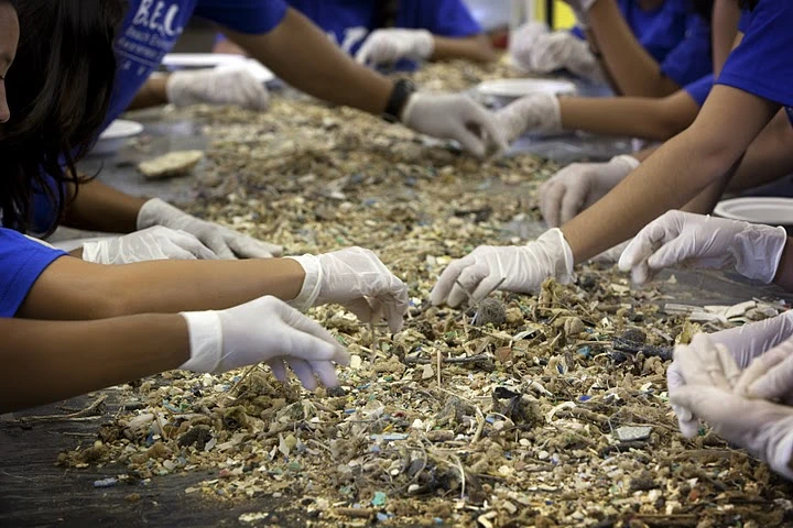 Sorting through the debris from Kahuku Beach in Hawaii