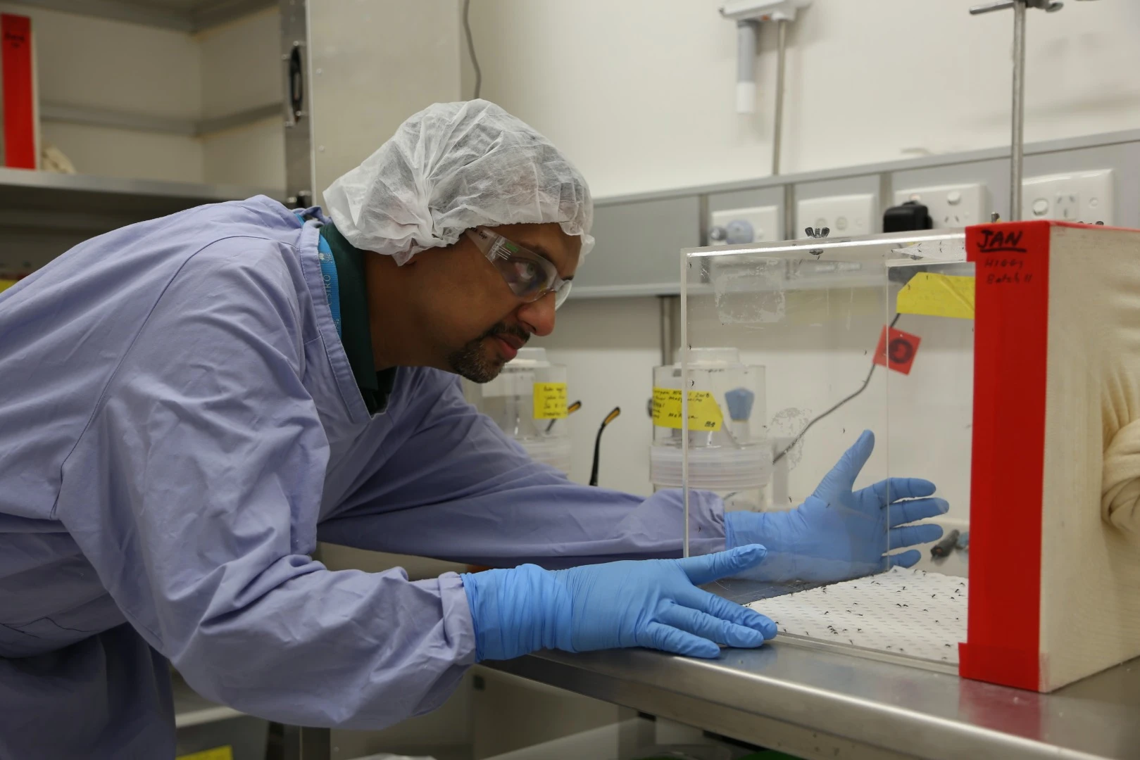 Scientists developed a Zika-resistant mosquito by injecting a synthetic anti-Zika gene during the embryo state
