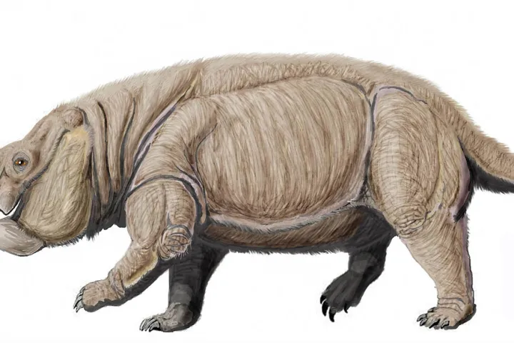 An artist's reconstruction of Lisowicia bojani, an elephant-sized ancestor of mammals that lived during the Triassic
