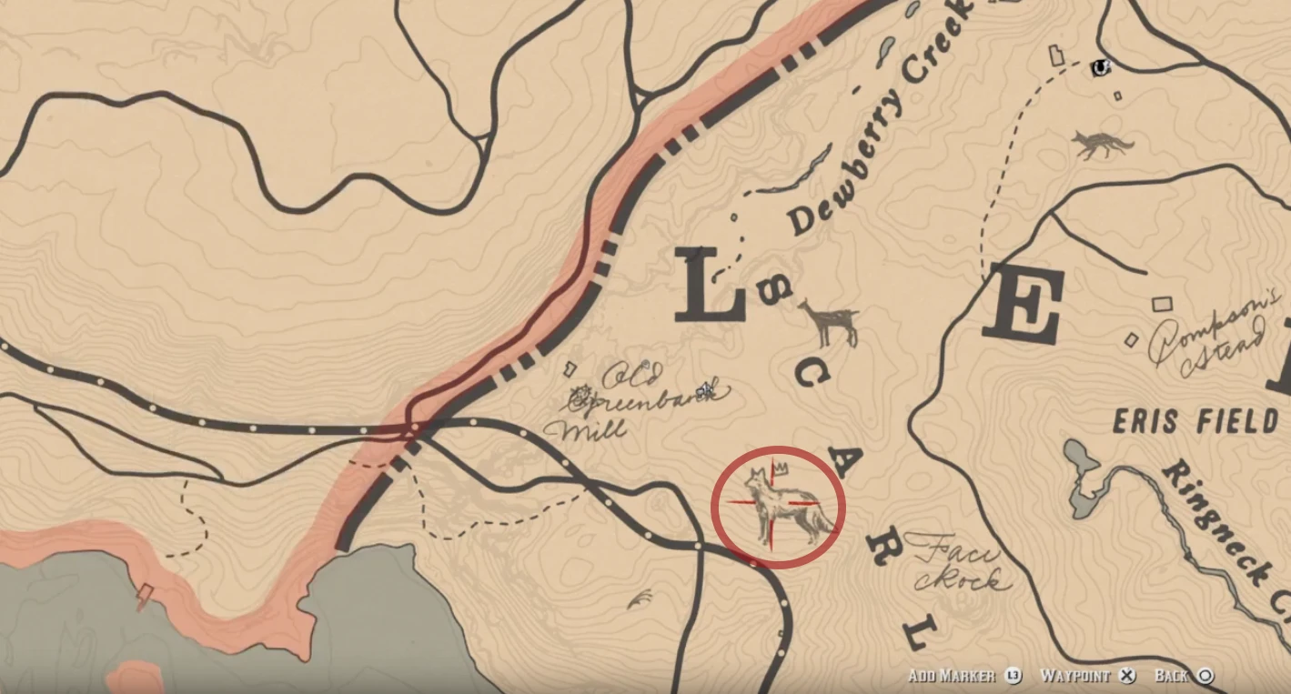 You can find the Legendary Coyote's territory north of Clemens Point, your gang's second camp location