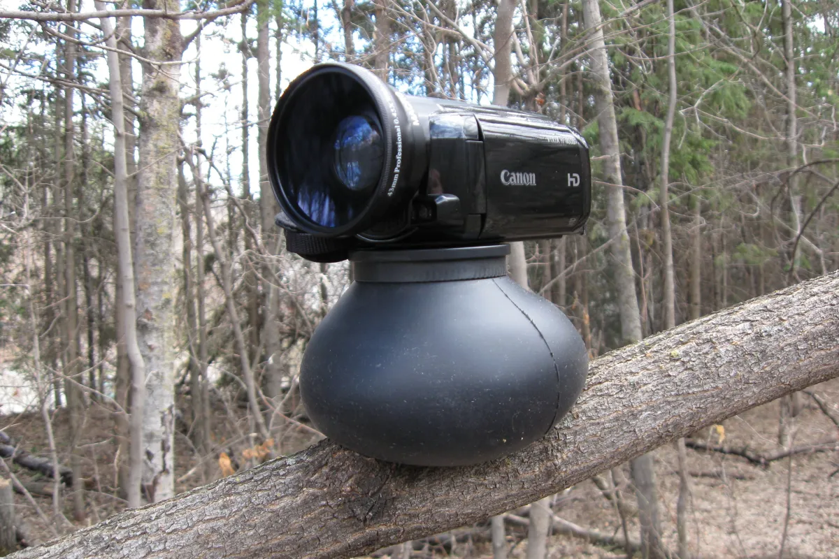 The Flex Shot in use on a tree branch