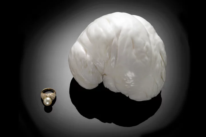 The Palawalan Princess is bigger than a baseball