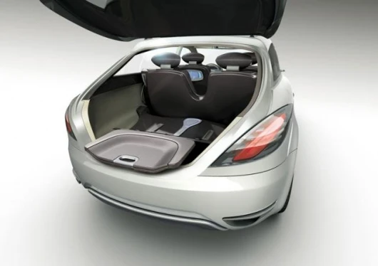 the Genus concept