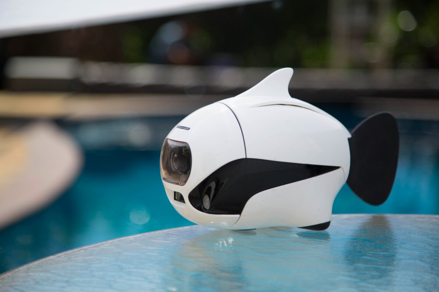 BIKI swims at 1.12 mph (1.8 km/h)