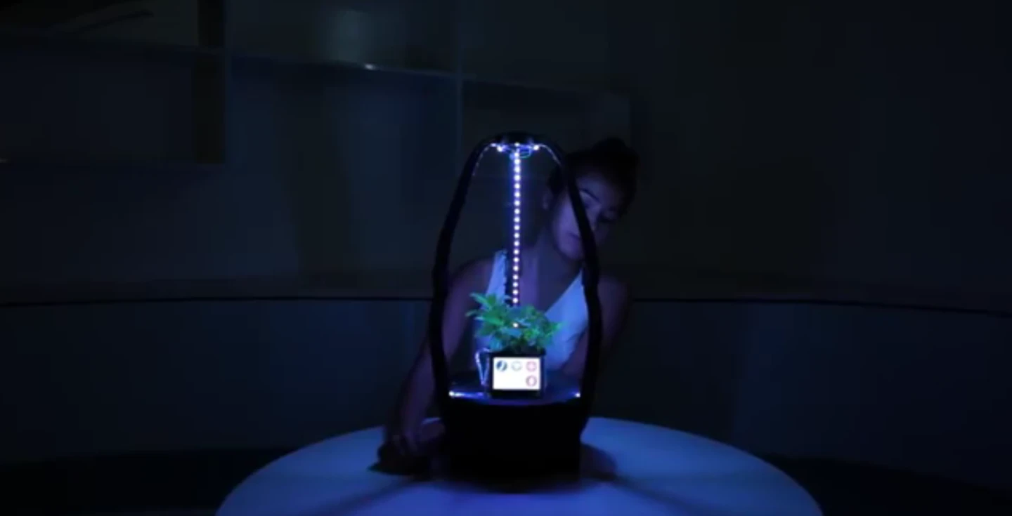 The AstroGro system has artificial intelligence monitoring to ensure ideal growing conditions