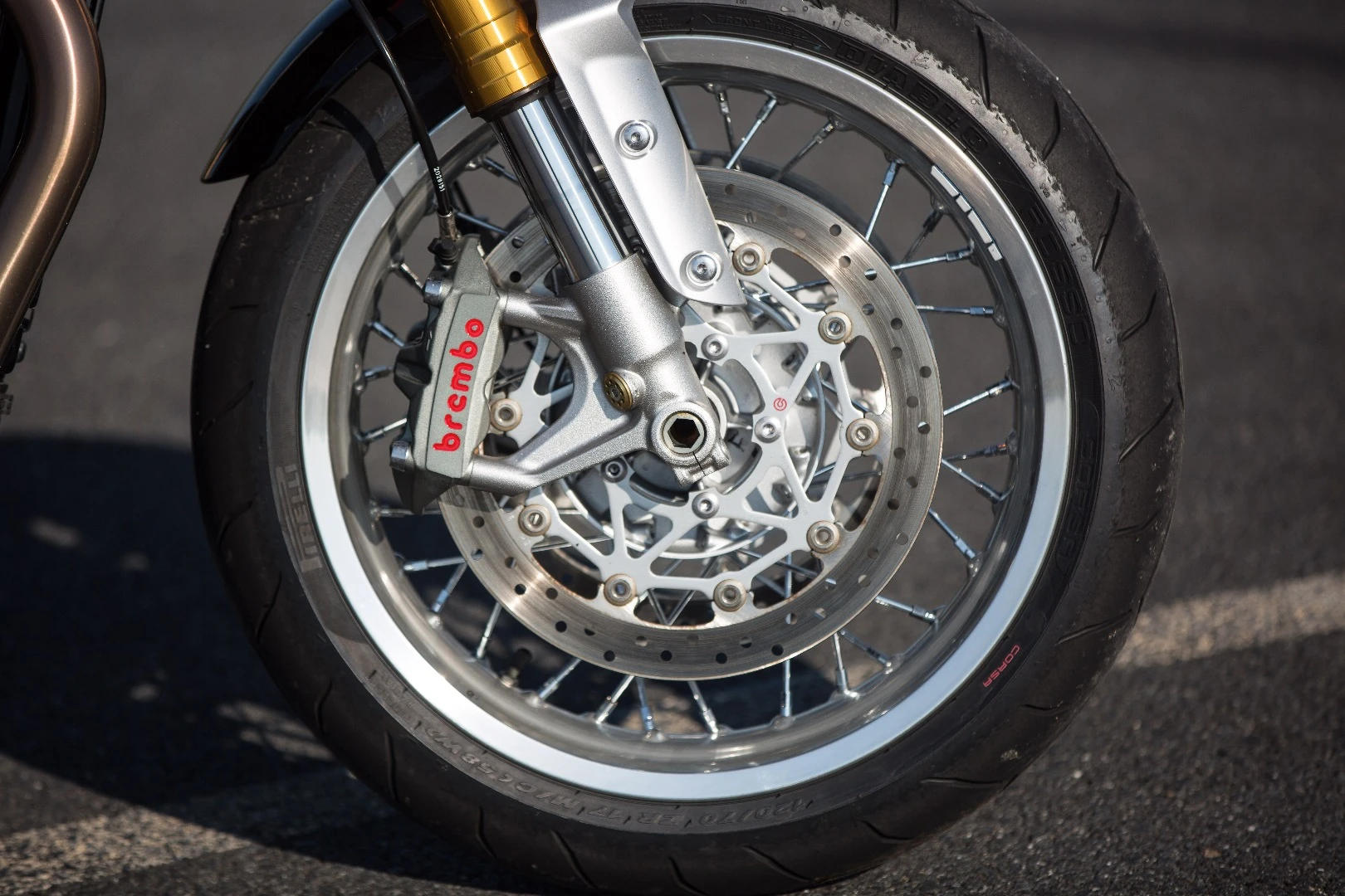 Triumph Thruxton R: Brembo monoblocs ensure serious braking potential