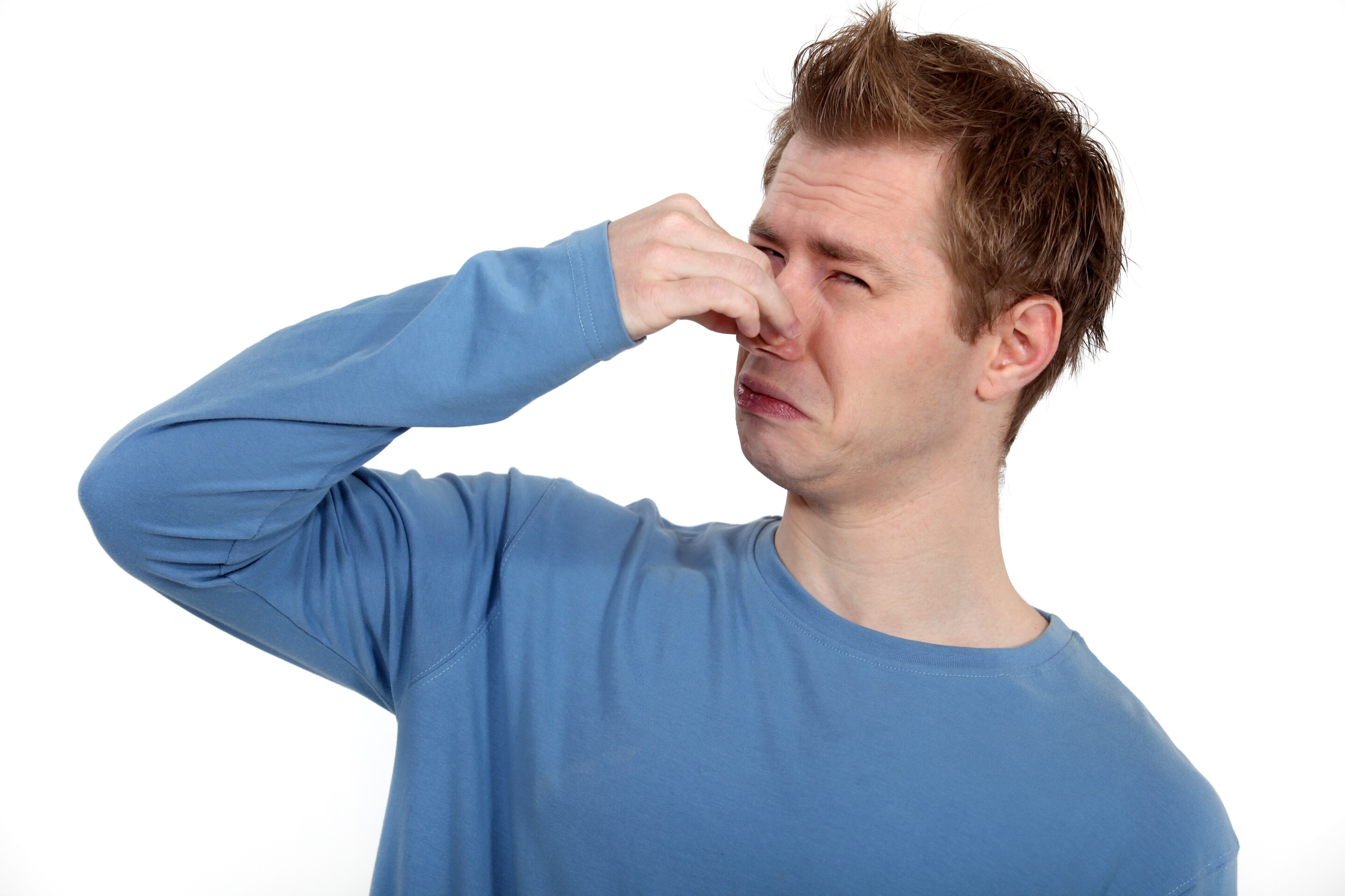 Smellcanceling odors are like white noise for your nose