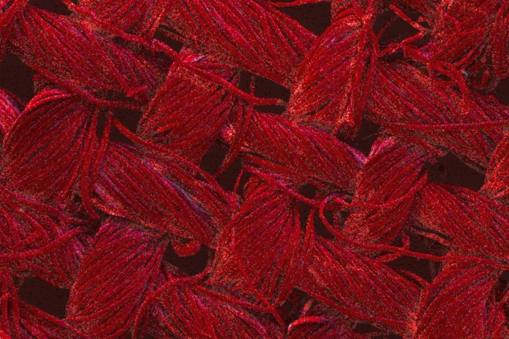Red indicates the coverage of silver nanoparticles in a fabric in this image that's been magnified 200 times