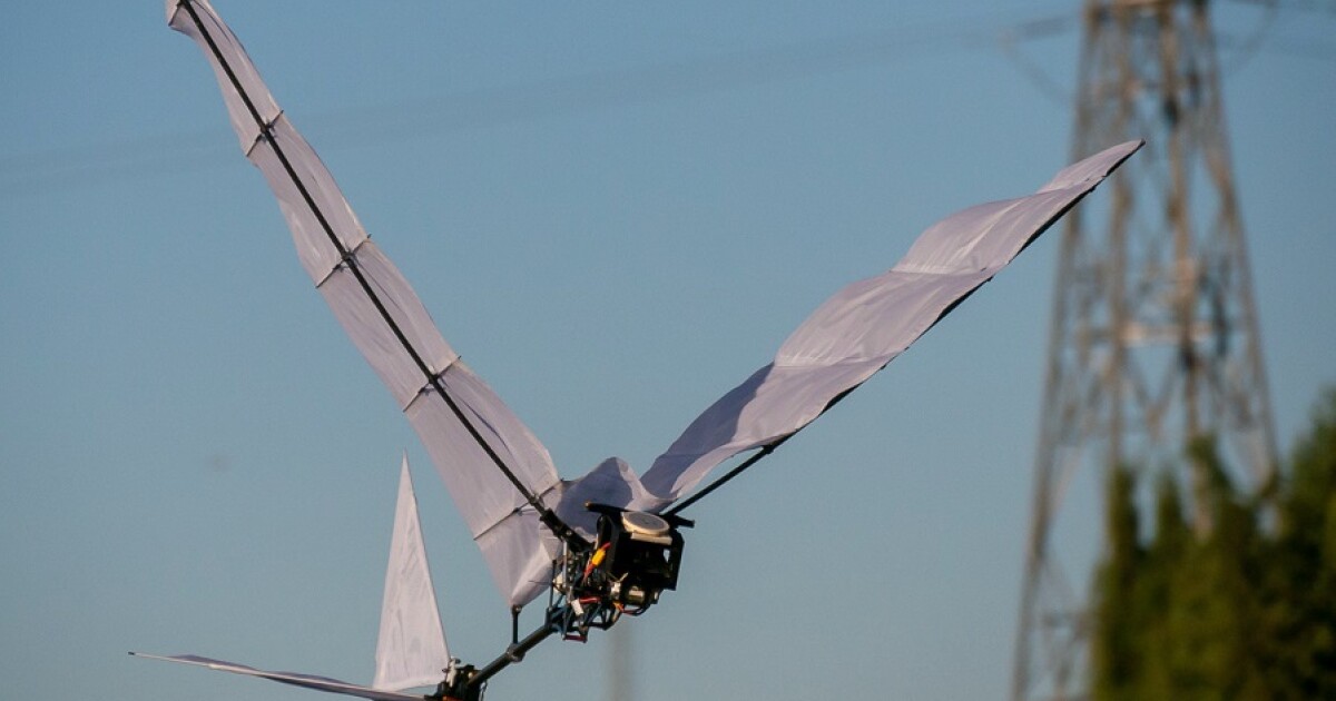 Robotics contest will build a biomimetic robot based on winning entry - Image