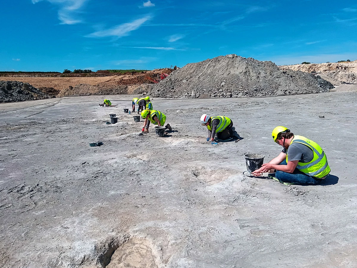 A team of over 100 people including researchers from the Universities of Oxford and Birmingham excavated the footprints in June 2024