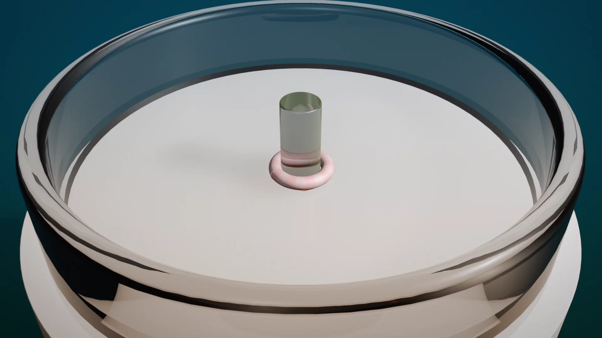 Digital image showing a ring of muscle strands