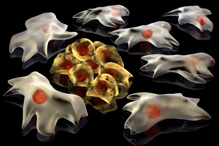 Could graphene play a role in cancer detection?