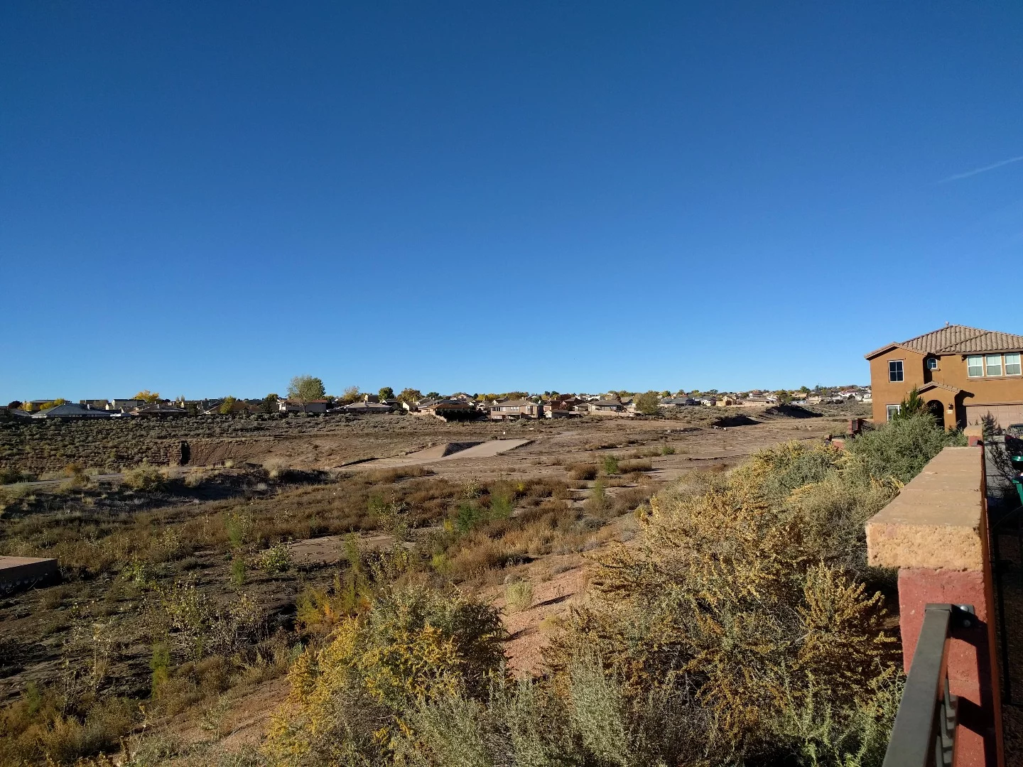 Outdoor, well-lit camera sample (Nexus 6P)