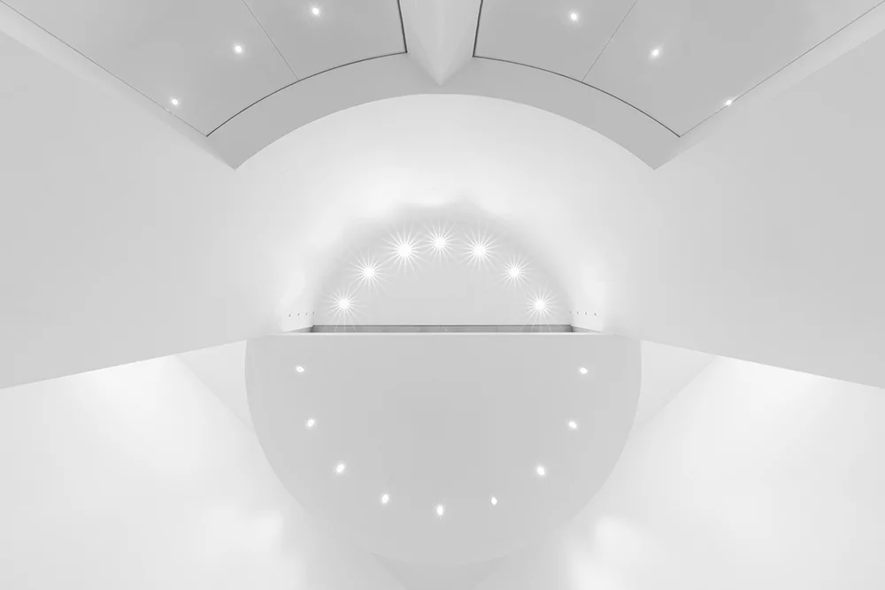 Nominee, Professional, Architecture. The ceiling of an art temple