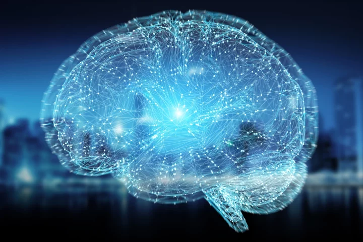 A new study has revealed that one of the key facets of consciousness seems to be complex, long-distance, communication across multiple brain regions