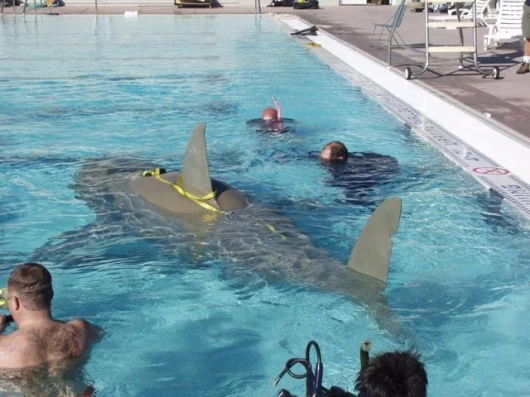 Go on, get in, it's not a real one!