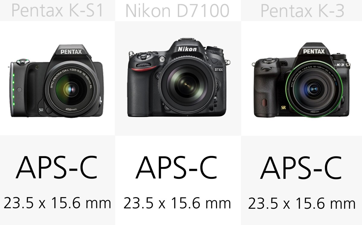 All of these DSLRs use APS-C size sensors