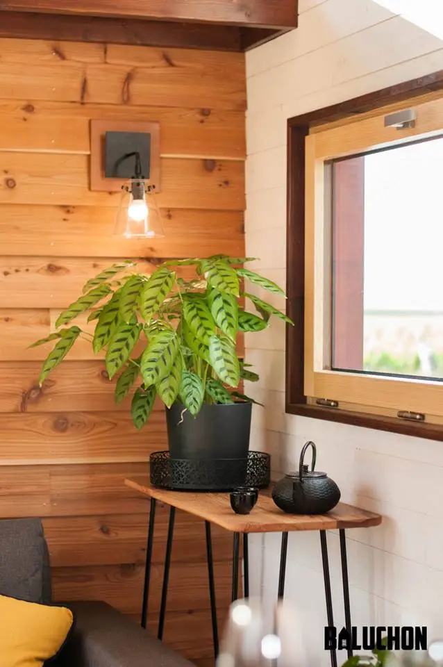 The Pampille's living room includes a coffee table and side table