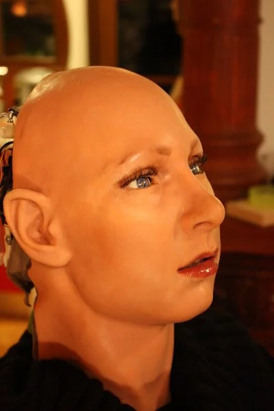 The FACE robot is capable of mimicking facial expressions