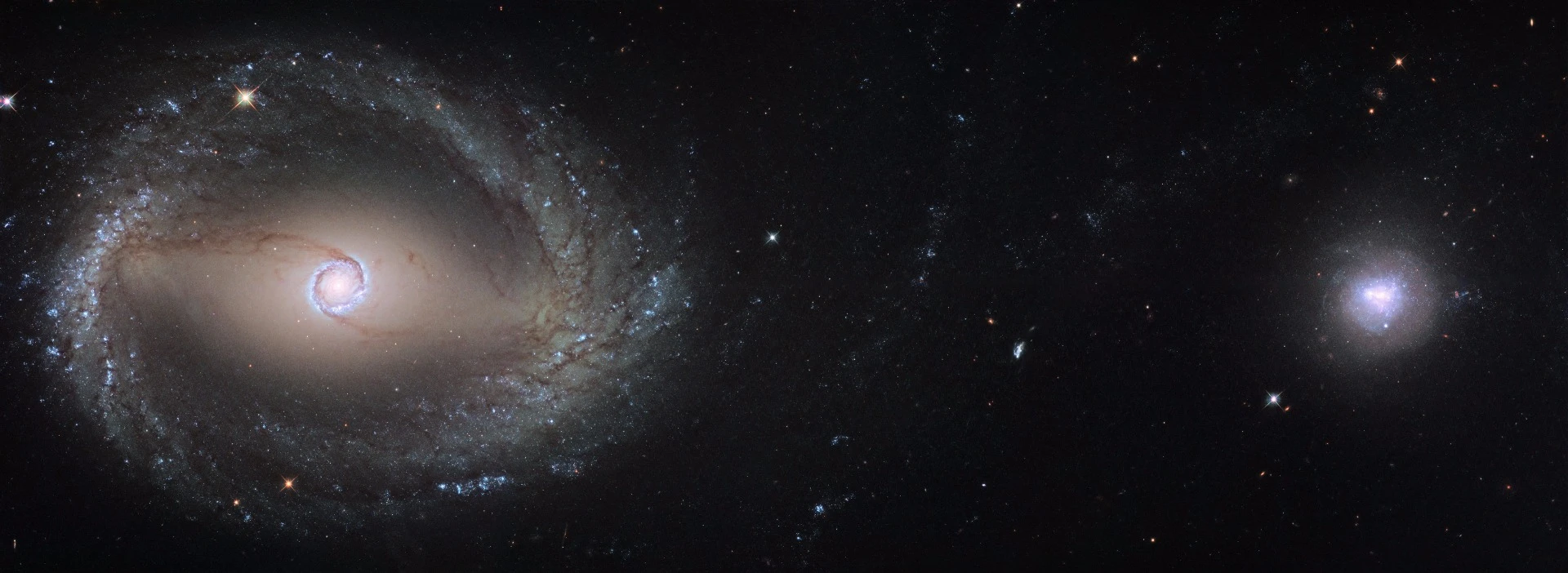 Composite Hubble image of the barred spiral galaxy NGC 1512 (left) and the dwarf galaxy NGC 1510 (right). Both galaxies are located roughly 30 million light-years away in the constellation of Horologium