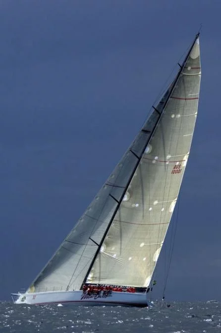 WILD OATS XI - Photo: Carlo Borlenghi