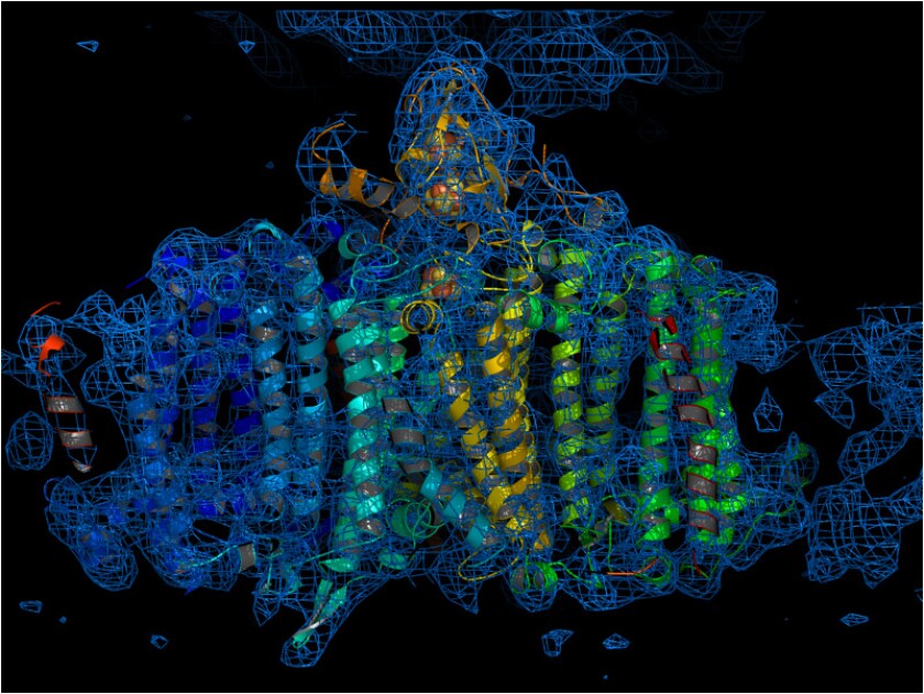 A reconstructed image of the Photosystem I complex (Image courtesy Raimund Fromme, Arizona State University.)