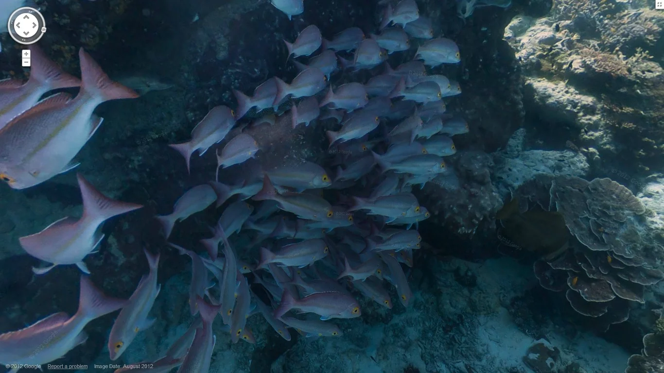 The crew visited six different reefs: two in Australia (Heron Island and Lady Elliot Island), two in Hawaii (Molokini Crater and Hanauma Bay), and two in the Philippines (the Apo Islands and Wilson Island)