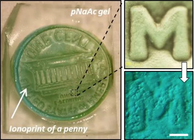 Features are replicated with high definition on the hydrogel material