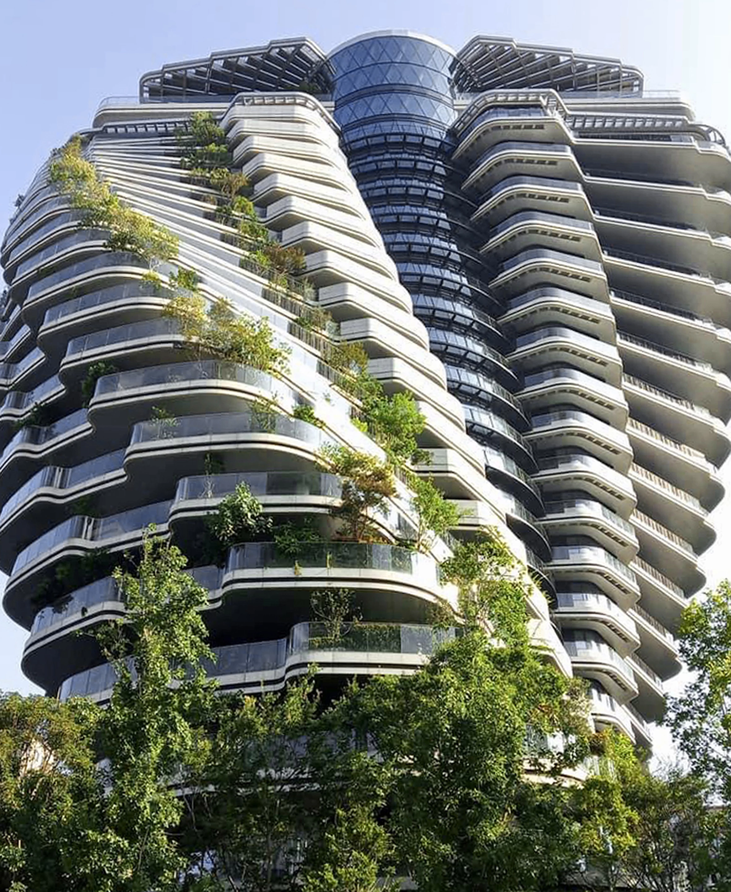 Tao Zhu Yin Yuan's significant irrigation needs will be partially met by rainwater collection systems