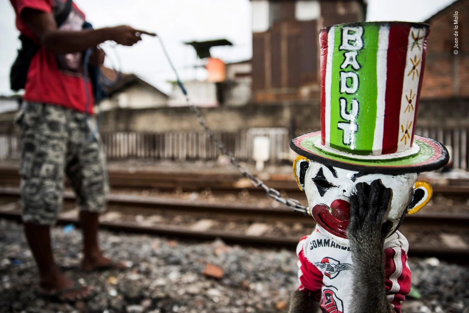 The Sad Clown by Joan de la Malla, Spain. Winner 2018, Category: Wildlife Photojournalism. Timbul, a young long-tailed macaque, instinctively puts his hand to his face to try to relieve the discomfort of the mask he has to wear. His owner is training him to stand upright so that he can add more stunts to his street‑show repertoire (the word Badut on the hat means clown). When he’s not training or performing, Timbul lives chained up in his owner’s yard next to a railway track in Surabaya, on the Indonesian island of Java