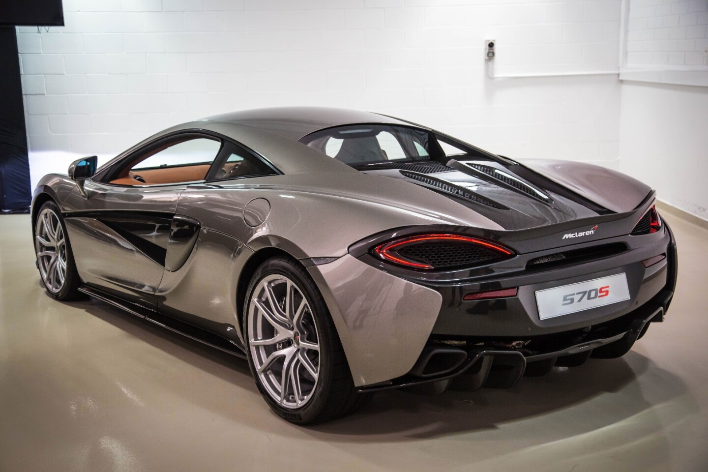 The detail that runs along the side of the car is called the "tendon"