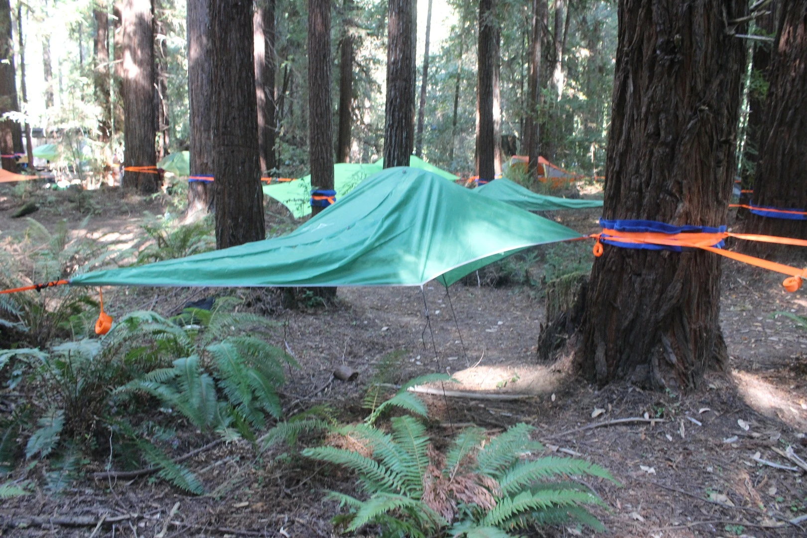 Tentsile launched the UNA earlier this year for $200, but will raise the price to $250 next year