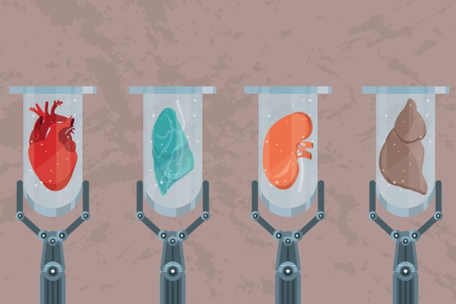 Blood, brains and burgers: The future is lab-grown everything