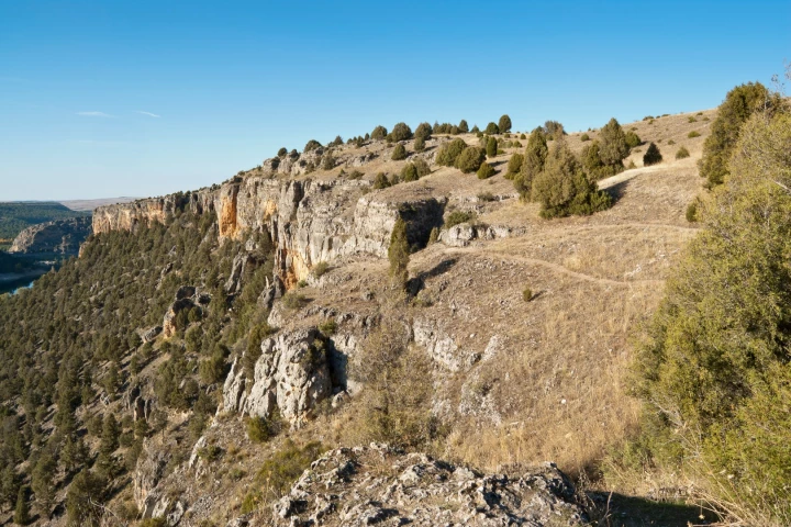 Drylands cover 40 percent of the Earth's surface, and new research reveals that they are better at supporting forests than once thought