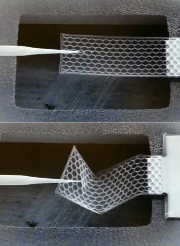 The stiffness and strength of the plates is due to the hexagonal corrugation of the material