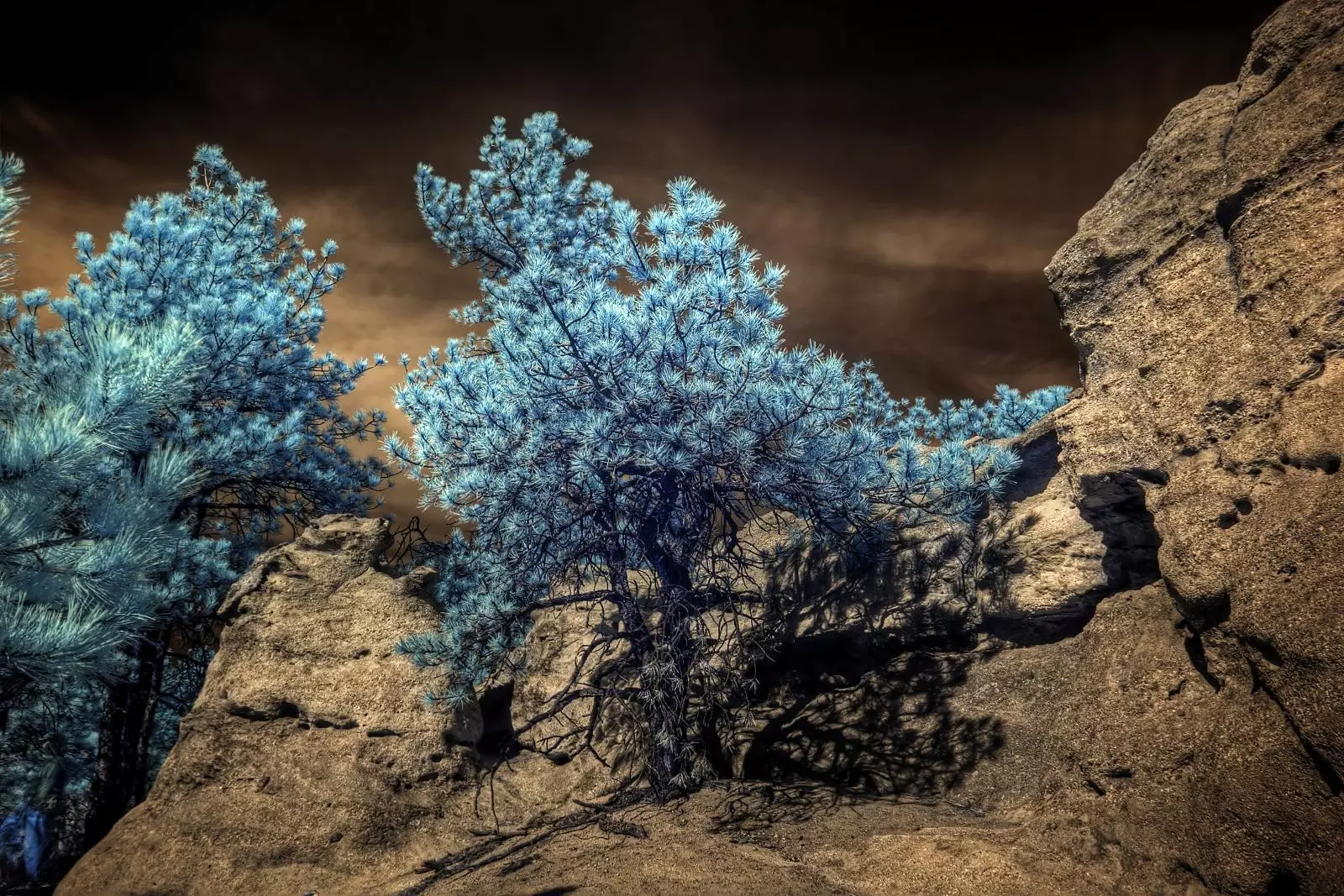 HDR IR images taken with an IR-converted Canon Rebel XTi. (Credit:David, brokentaco Flickr / CC BY-2.0)