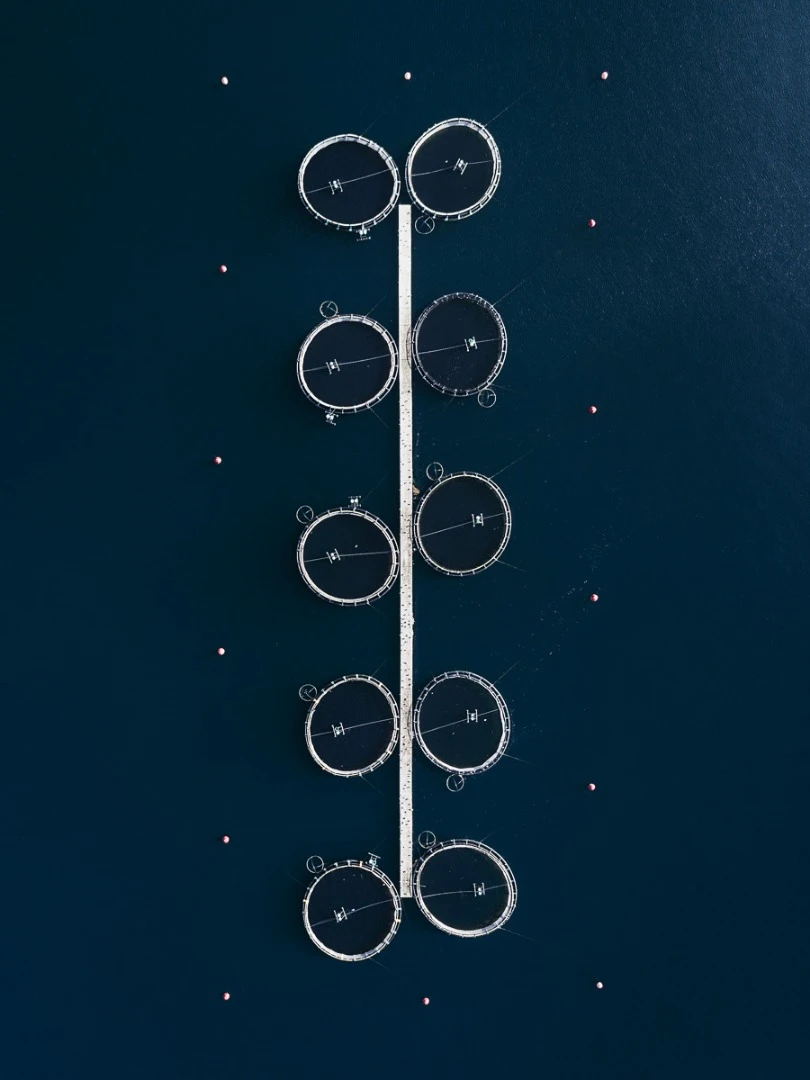 The Aquaculture Series: A look at fish farming in Croatia