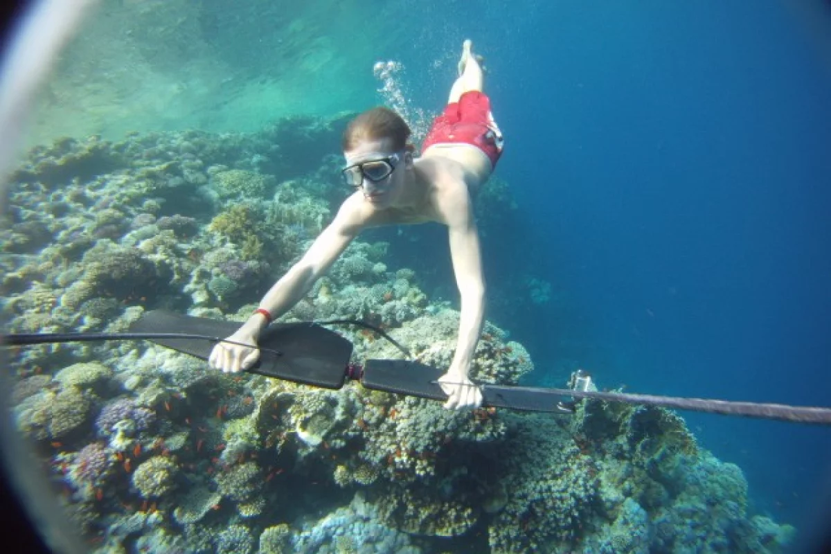 The Subwing is a device that is towed behind a boat, allowing the rider to "fly" underwater