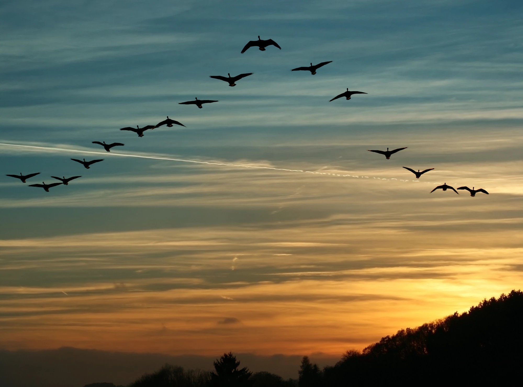 Scientists may have discovered new evidence explaining the cellular mechanism for how birds and other animals can navigate using the Earth's magnetic field