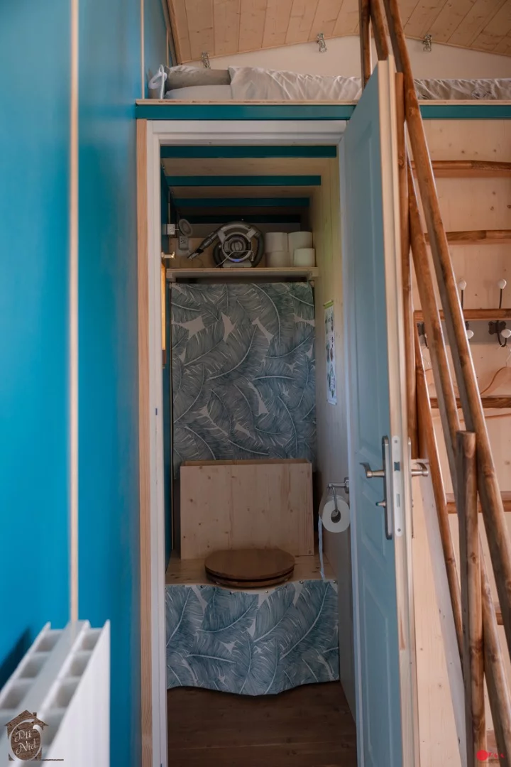 The Head in the Stars Professional's toilet