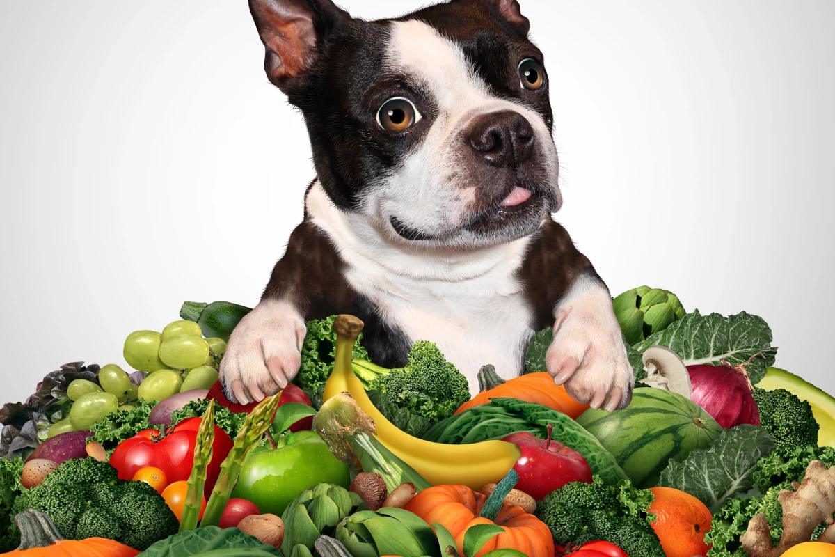 Do Dogs Get Nutritional Value from Non Meats? Essential Insights