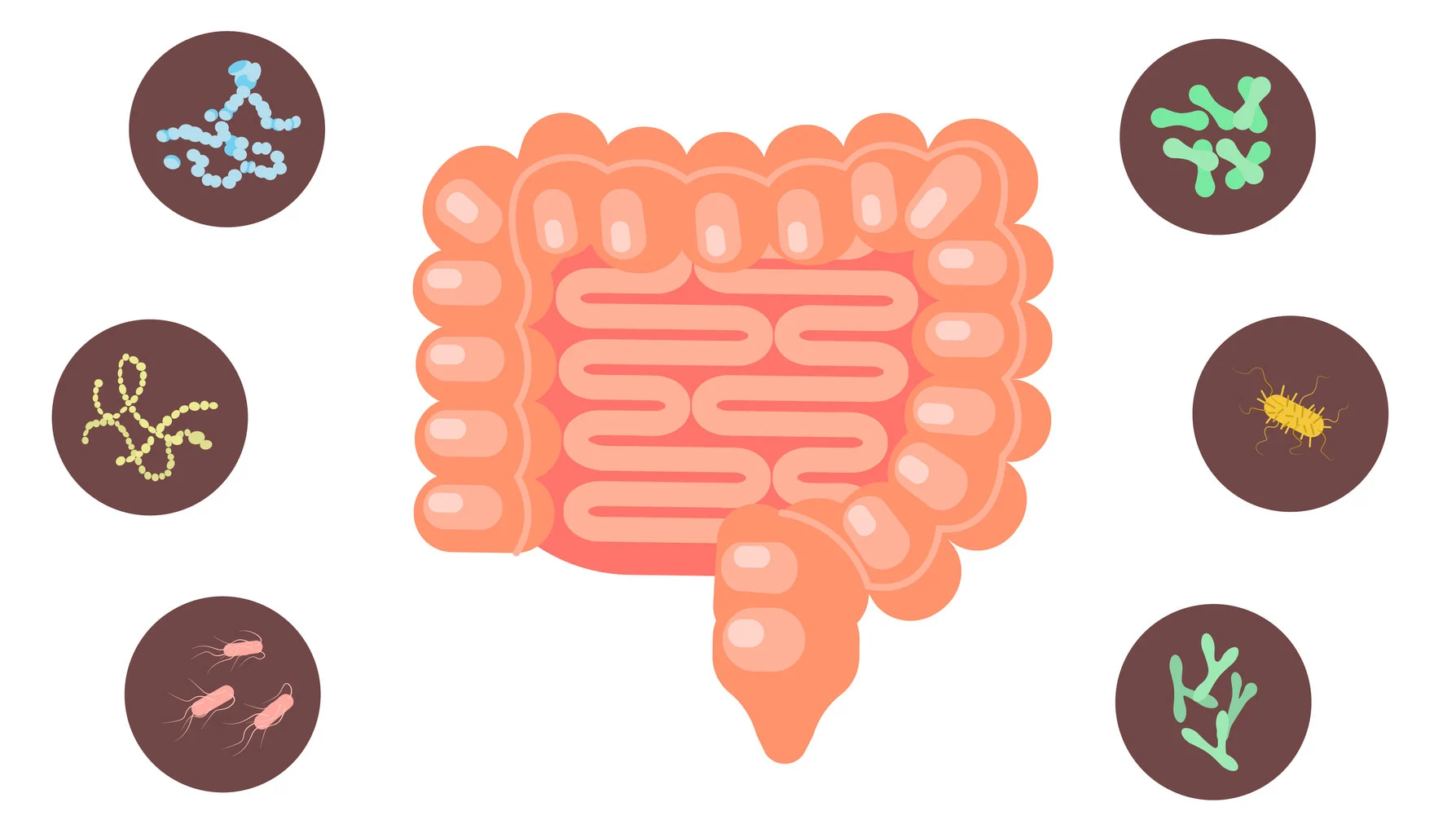 One study has described a connection between serotonin and gut dysfunction, while another has revealed how microbiome transplants can transfer symptoms of depression from one animal to another