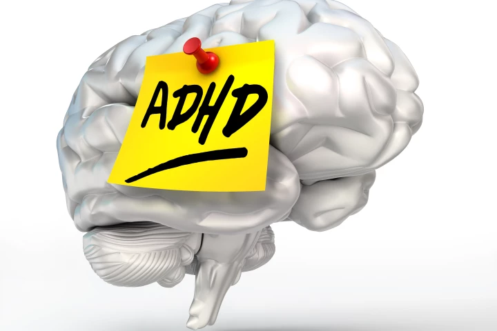 A new study has found people with a high genetic risk score for ADHD display faster rates of cognitive decline compared to a matched group without the same genetic propensity