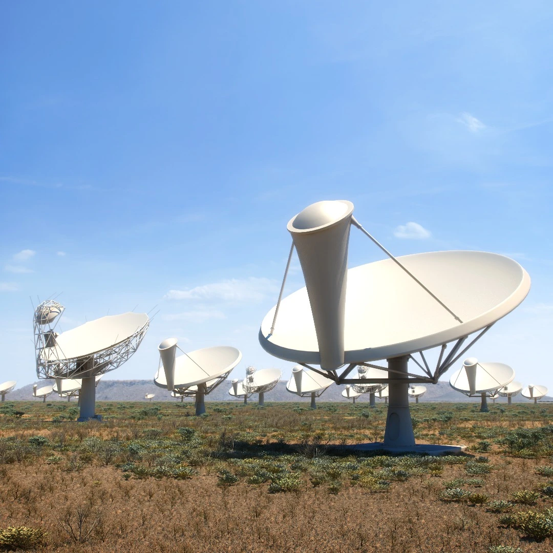 An artist's impression of the SKA dishes in South Africa