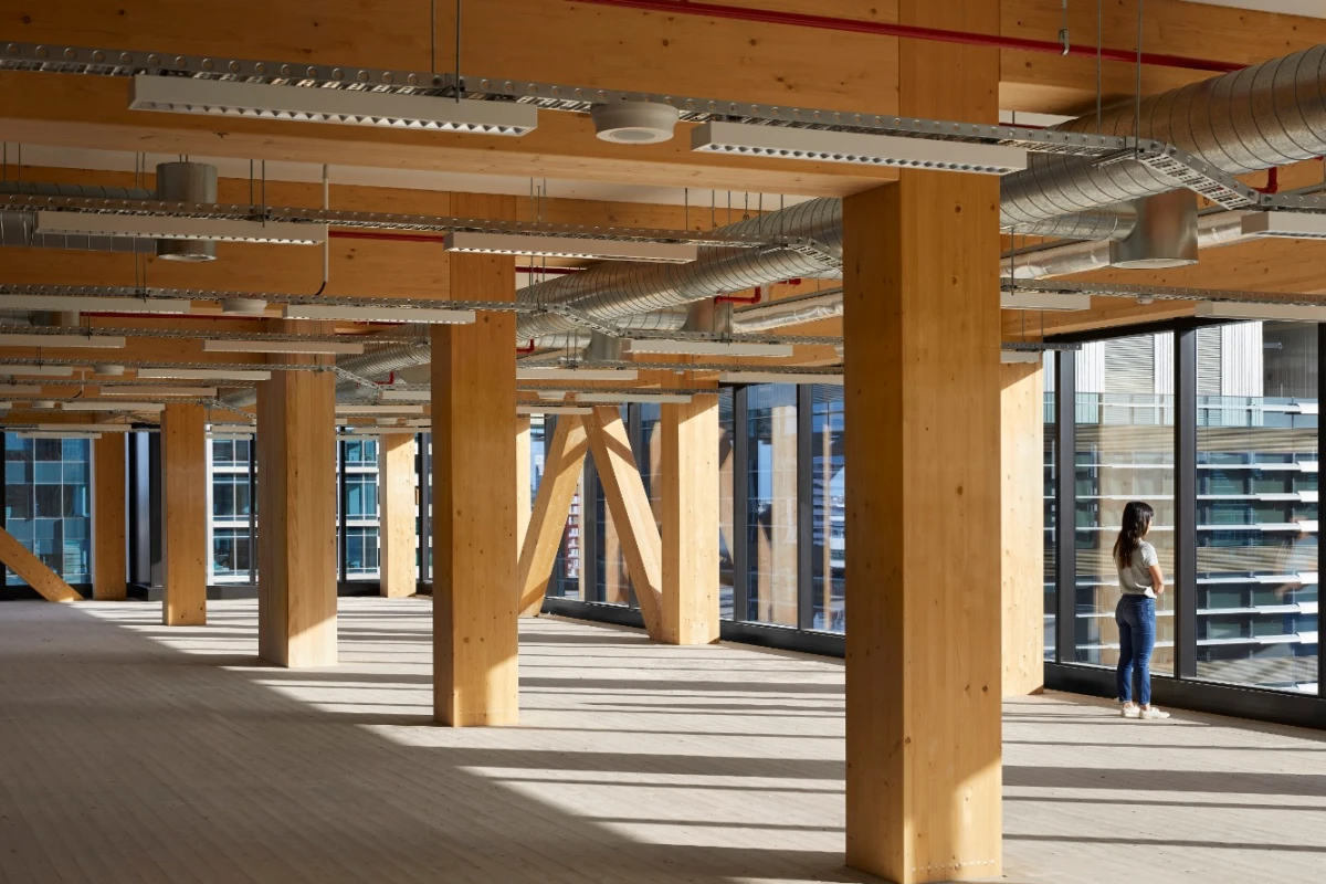 Floor-by-floor, huge exposed V-shaped columns were stacked on top of one another to support the timber slabs used for floor plates and exposed ceiling soffits inside 25 King