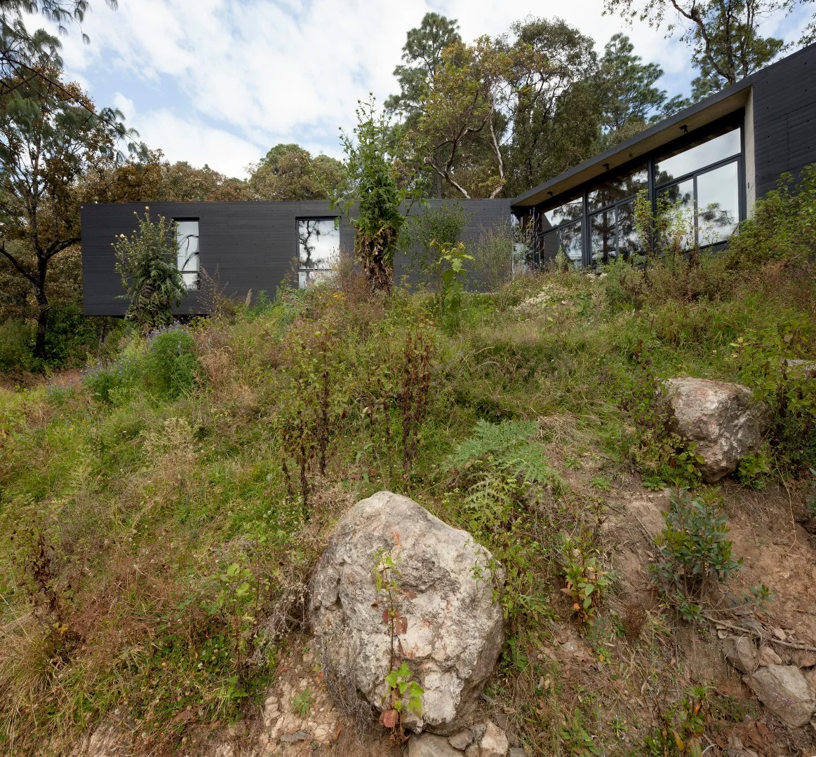 The Casa de la Roca goes to some lengths to blend in its natural environment