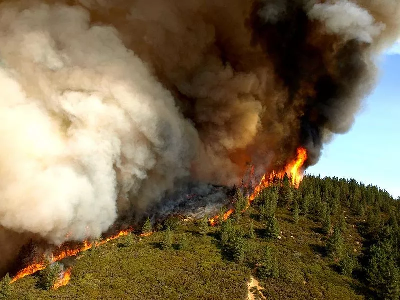 Zaca Fire, near Santa Barbara, California, in 2007. Credit: U.S. Forest Service by John Newman