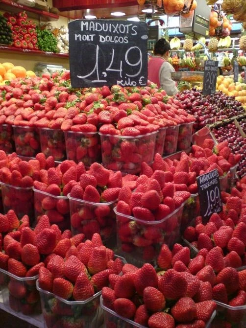 Image taken with K800